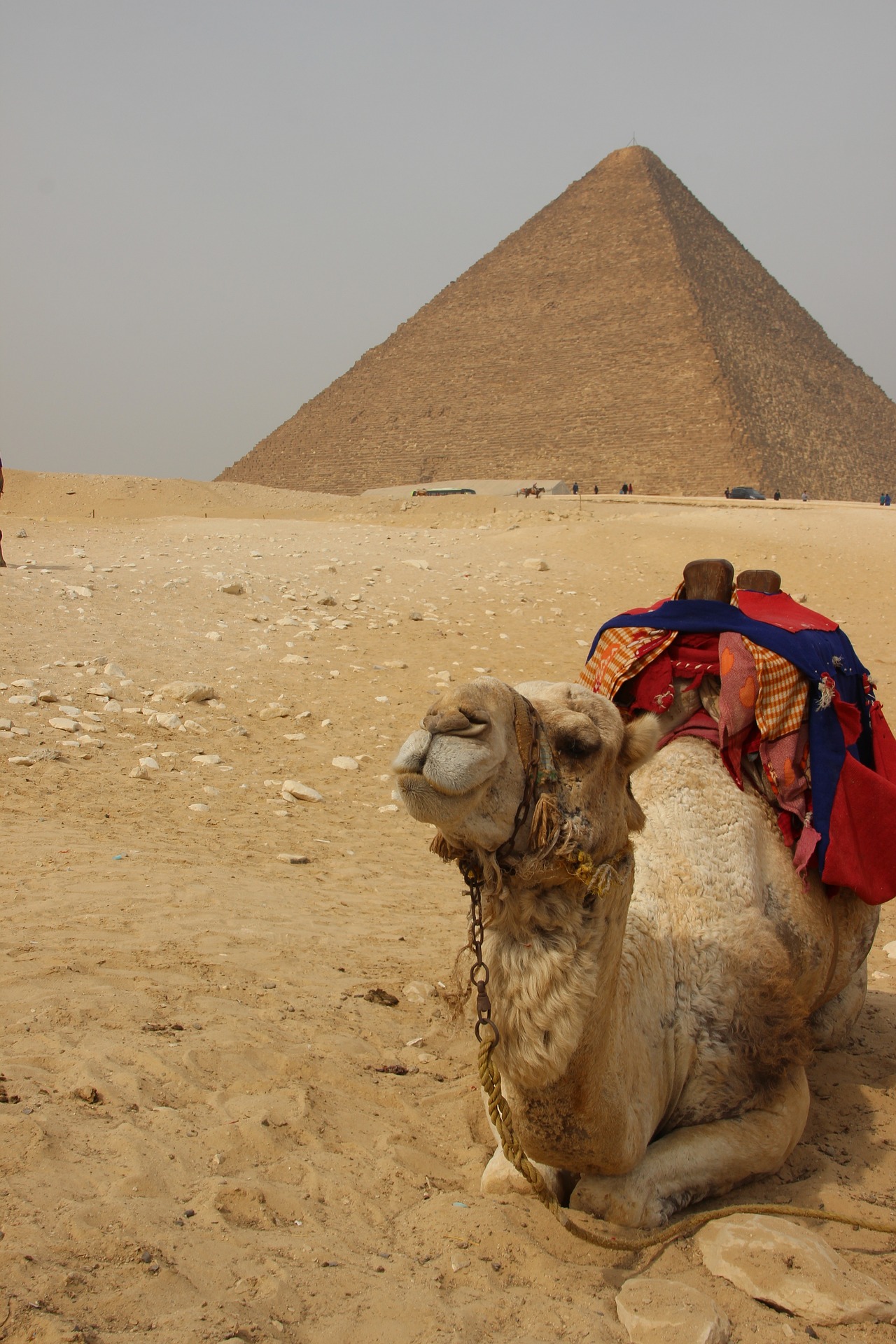 egypt-2154597_1920
